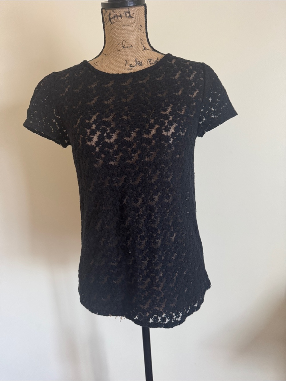 LOFT Black Short-Sleeve Lace Tee